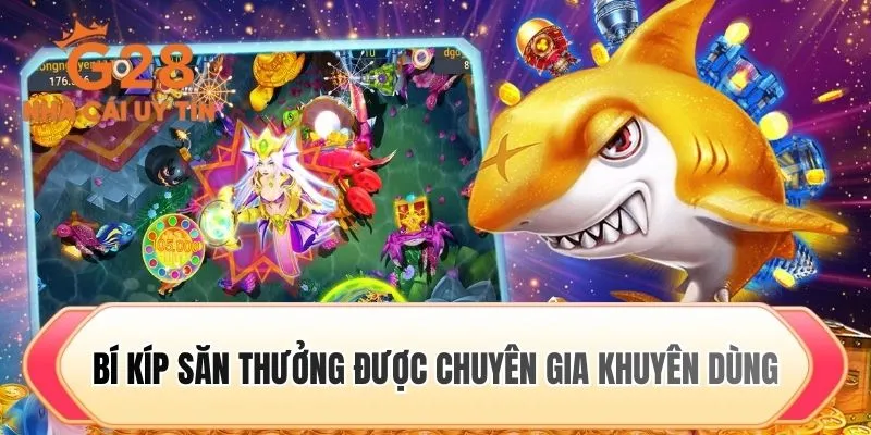 Bí kíp săn thưởng được chuyên gia khuyên dùng