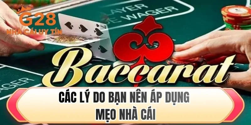 Các lý do bạn nên áp dụng mẹo nhà cái